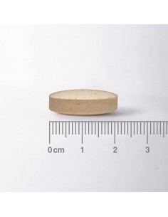 LAMBERTS MILK THISTLE 8500mg 90tabs 2