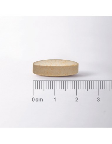 LAMBERTS MILK THISTLE 8500mg 90tabs