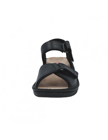 BERKEMANN FABIENNE 03415-938 ANATOMIC...