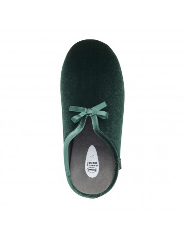 SCHOLL RACHELE  F303291028 ΑΝΑΤΟΜΟΚΗ...