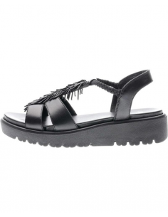 ARA 01G -33512 ANATOMIC...