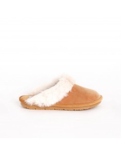 SCHOLL BRIENNE ANATOMIC...