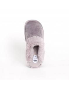 SCHOLL BRIENNE ANATOMIC...