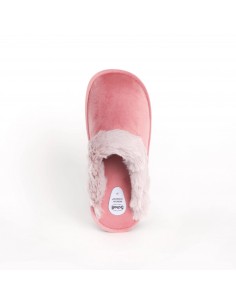 SCHOLL BRIENNE ΑΝΑΤΟΜΟΚΗ... 2