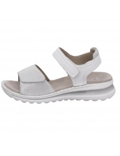 ARA 13G [47207] ANATOMIC...