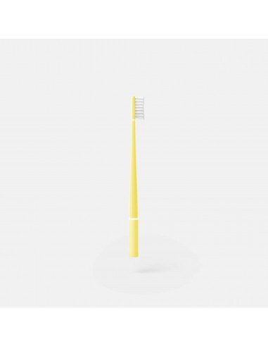 PIUMA ΟΔΟΝΤΟΒΟΥΡΤΣΑ SOFT ECHINACEA...