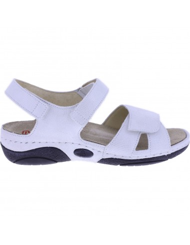 BERKEMANN JACKLYN 01605-120 ANATOMIC...