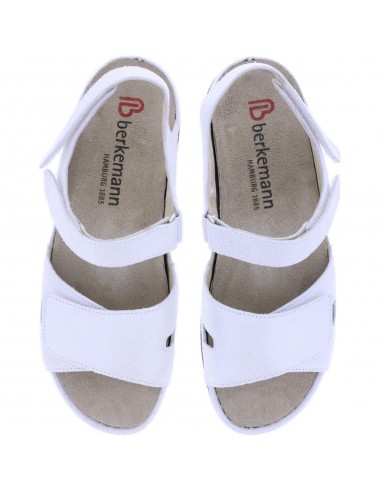 BERKEMANN JACKLYN 01605-120 ANATOMIC...