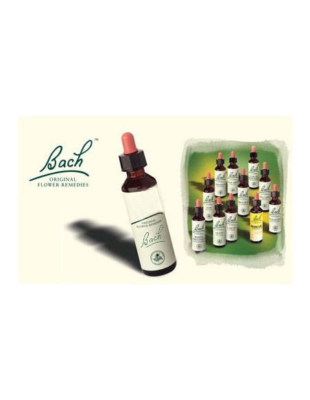 BACH RESCUE REMEDY